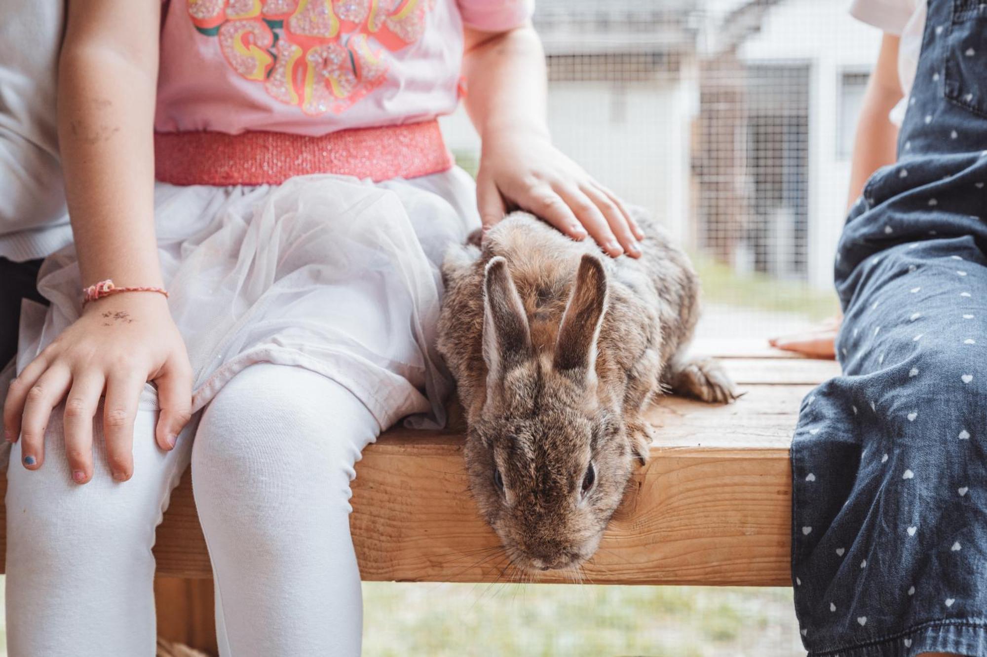 Familienhotel Huber ヴァレス エクステリア 写真